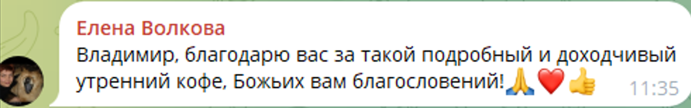 Скриншот отзыва елены волковой в Telegram